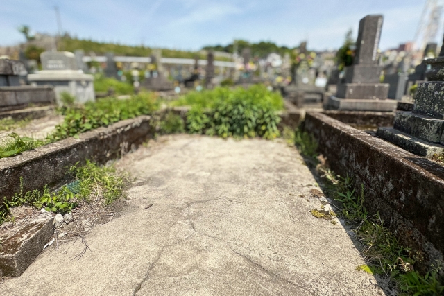 横浜で墓じまい後の散骨を検討|手続き、費用、永代供養まで